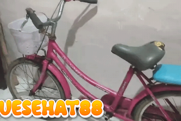 Sepeda Pink jadi Saksi Bisu Kematian CNA, Korban Pembunuhan-Pemerkosaan di Banyuwangi
